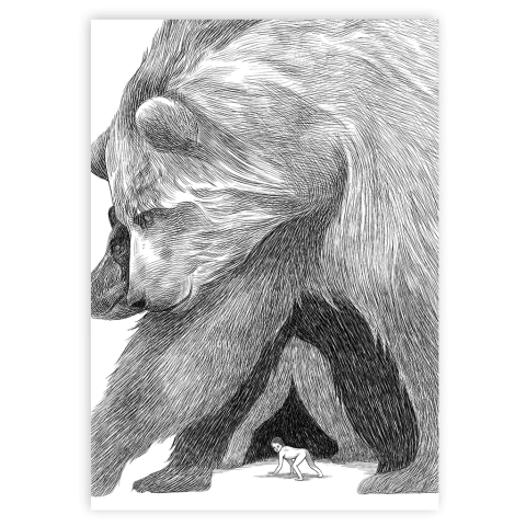 Print "Osos" Maxi Amici