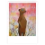 Print ¨Animalito¨ Monk
