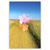 Print "001" David Sisso