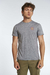 Remera Hollis en internet
