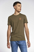 Remera Hollis en internet