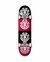 Skate Completo Quadrant 8"