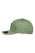 Gorra Treelogo Flexfit - comprar online