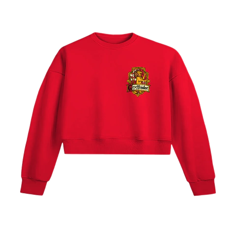 Buzo corto frisado -Gryffindor
