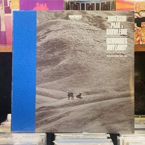 Nx Worries - Why Lawd? (2024) USA INDIE EXCLUSIVE BROWN WITH BLUE SPLATTER VINYL NUEVO