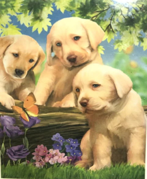 Diamond Painting lienzo 40x50 - comprar online