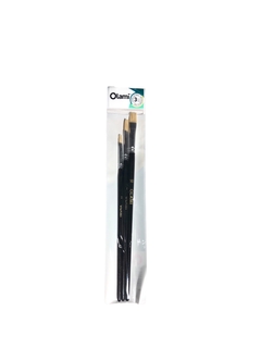 Set pinceles Olami chatos x3