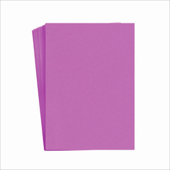 CAPA PP 030 ROSA CORO A4 COM 10