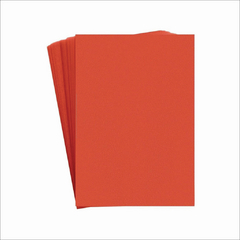 CAPA PP 030 LARANJA CORO A4 COM 10