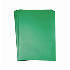 CAPA PP 030 VERDE PETR CORO A4 COM 10