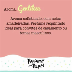 PERFUME PAPEL KIT LEMBRANCAS - 3 X 15ML - Art Comercial