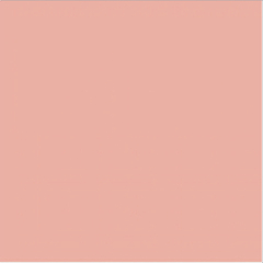 PAPEL AUTOC CFB ROSA 53G 66 X 96CM