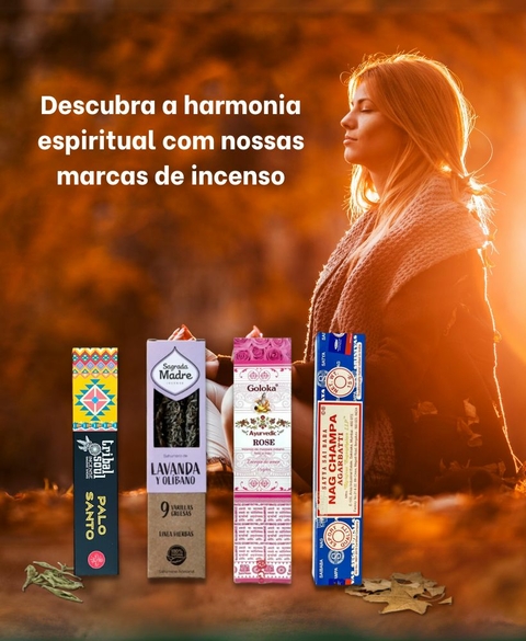 Carrossel 1