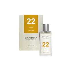 Perfume 22 LMILLION 50ML - comprar online