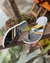 Kenner summer ( preto/ amarelo )