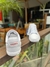 Tenis Lacoste Europa 2022 - comprar online