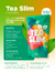 Chá Detox Tea Slim (Atacado) - Essence Supplement Comercio de Suplementos Alimentares LTDA