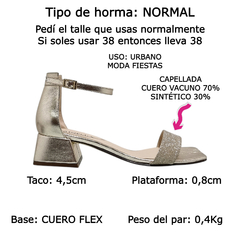 Sandalias Mujer Bajas Fiesta Vestir Cuero Fh 3410 Bailar (FH3410)
