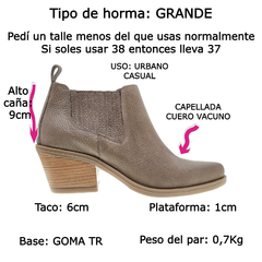 Botas Botinetas Cuero Mujer Tipo Texanas Caña Baja Riot 1622 (RI1622) en internet