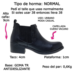 Imagen de Botas Botinetas Cuero Mujer Tipo Texanas Charros Riot Anush (RIANUSH)