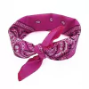 Bandana