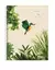 Cuaderno universitario Ledesma Nat 70hj rayado en internet