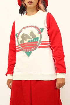 Moletom montanha cintage bicolor