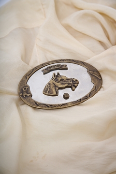 Fivela cavalo vintage cavalo WILD HORSE