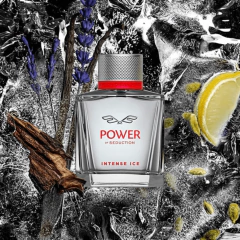 Power Of Seduction Intense Ice Banderas EDT - 100ml na internet