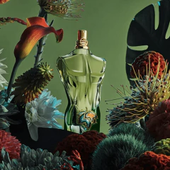 Le Beau Paradise Garden Jean Paul Gaultier Eau de Toilette na internet