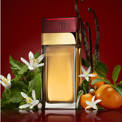 Dolce Gabbana - Dolce Gabbana Eau de Toilette - 100ml na internet