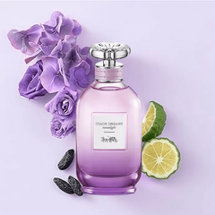 Coach Dreams Moonlight Eau de Parfum - 90ml na internet