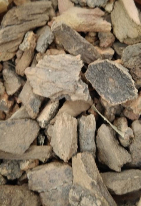 QUEBRACHO CORTEZA 100G