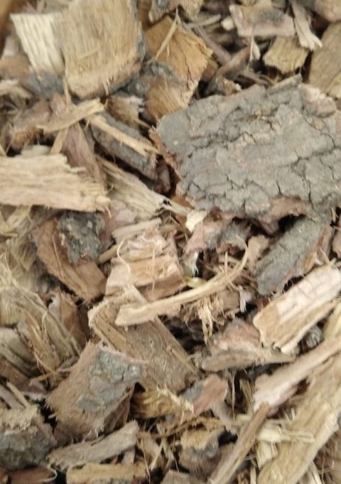 ROBLE CORTEZA 100G