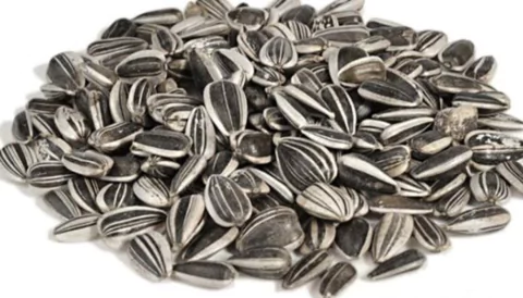 SEMILLAS DE GIRASOL CON CASCARA X 250GR