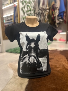 Tshirt Fem Cavalo Crioulo - comprar online