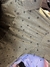 Imagen de Camisa plumas