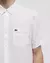 LACOSTE CHEMISE CASUAL MANCHES LO (CH8682) - La Joaquina