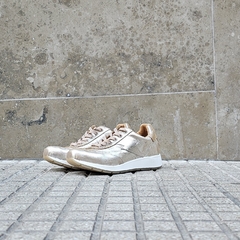 Zap.02/ Platino - 35