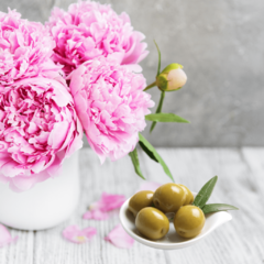 Fragancia Multiuso "Peonia y oliva"