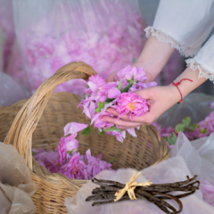 Esencia Velas "Vainilla y Rosa de Bulgaria" - comprar online