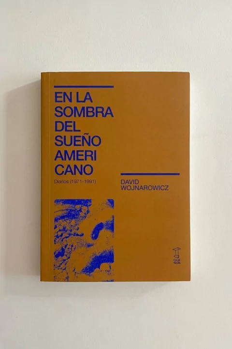En la sombra del sueño americano. Diarios 1971-1991 (David Wojnarowicz)