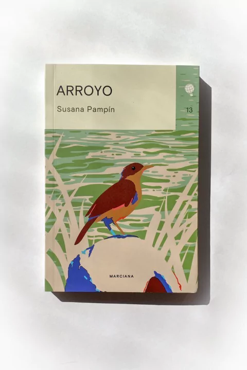 Arroyo (Susana Pampín)