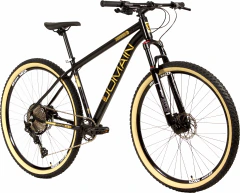 Imagem do Bike Aro 29 Domain 12v Freios Hidraulicos Suspensão Trava