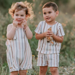 SHORT BEGONIA en internet