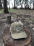 Gorra Dorado "Calce ajustado" - Tiempo de Pesca Tienda