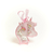 Set Anillo