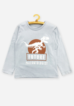 Remera Dinosaurio - comprar online