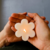 TRIO DE VELAS EN FORMA DE FLOR, CON MENSAJES DEL DIA DE LA MUJER. en internet