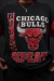 Moletom Chicago Bulls – Vintage Oficial - loja online